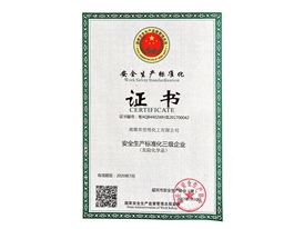 安全標準化證書